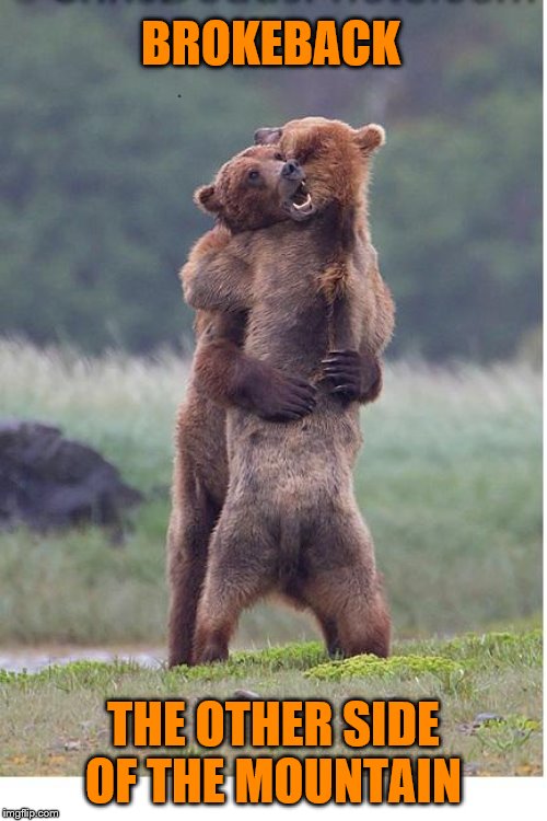 hugging bears |  BROKEBACK; THE OTHER SIDE OF THE MOUNTAIN | image tagged in hugging bears,memes | made w/ Imgflip meme maker