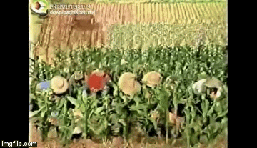 “Salute!” | image tagged in gifs | made w/ Imgflip video-to-gif maker