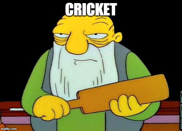 That's a paddlin' Meme | CRICKET | image tagged in memes,that's a paddlin' | made w/ Imgflip meme maker
