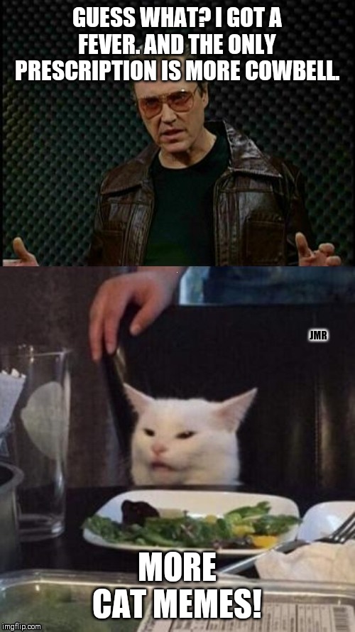 I Know, Right? | GUESS WHAT? I GOT A FEVER. AND THE ONLY PRESCRIPTION IS MORE COWBELL. JMR; MORE CAT MEMES! | image tagged in needs more cowbell,cat,woman yelling at cat | made w/ Imgflip meme maker