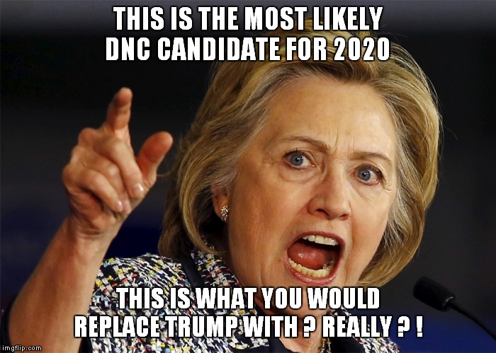 The madness of a panicked crowd is nothing compared to the collective stupidity of libtards. | THIS IS THE MOST LIKELY DNC CANDIDATE FOR 2020; THIS IS WHAT YOU WOULD REPLACE TRUMP WITH ? REALLY ? ! | image tagged in hillary,idiots | made w/ Imgflip meme maker