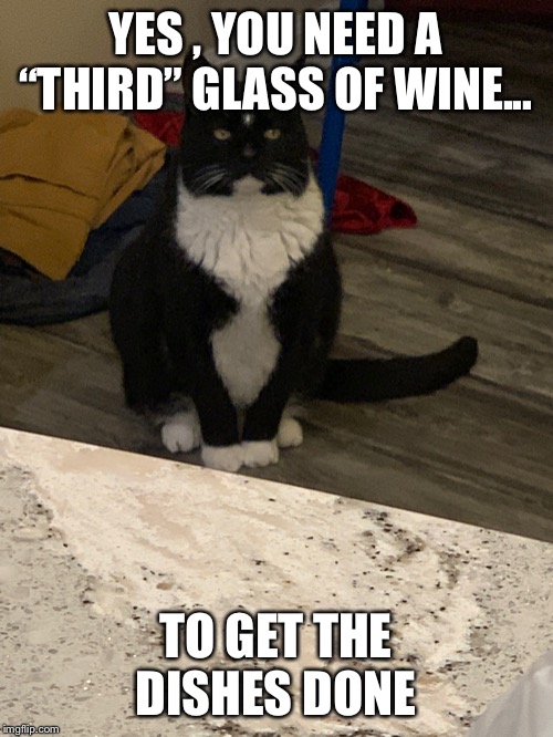 The judgy roommate | YES , YOU NEED A “THIRD” GLASS OF WINE... TO GET THE DISHES DONE | image tagged in the judgy roommate | made w/ Imgflip meme maker