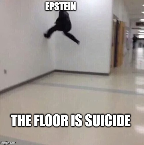 Floor is lava | EPSTEIN; THE FLOOR IS SUICIDE | image tagged in floor is lava | made w/ Imgflip meme maker