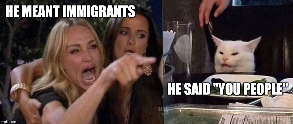 woman yelling at cat | HE MEANT IMMIGRANTS; HE SAID "YOU PEOPLE" | image tagged in woman yelling at cat | made w/ Imgflip meme maker