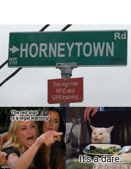 And the city council had a running bet... | The red sign is a legal warning! It's a dare. | image tagged in memes,woman yelling at cat,funny town name,funny sign | made w/ Imgflip meme maker