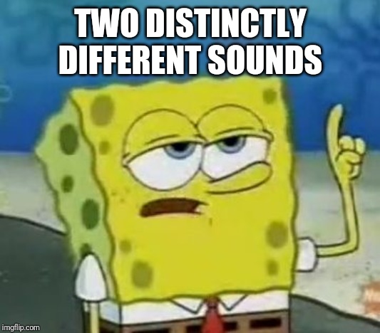 I'll Have You Know Spongebob Meme | TWO DISTINCTLY DIFFERENT SOUNDS | image tagged in memes,ill have you know spongebob | made w/ Imgflip meme maker