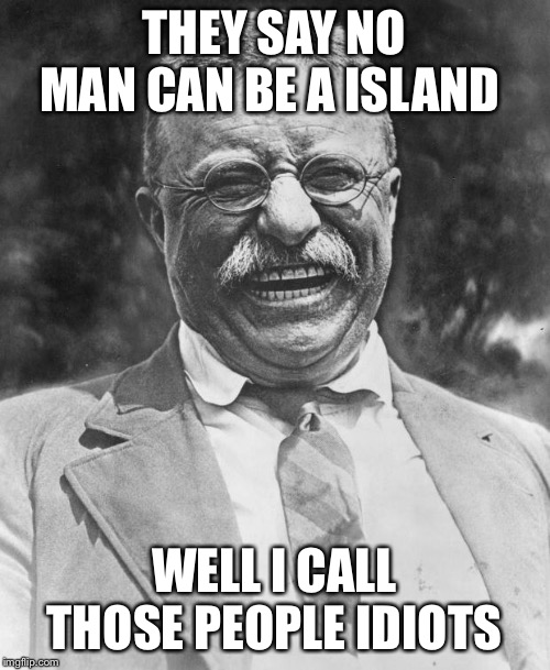 Teddy Roosevelt | THEY SAY NO MAN CAN BE A ISLAND; WELL I CALL THOSE PEOPLE IDIOTS | image tagged in teddy roosevelt | made w/ Imgflip meme maker