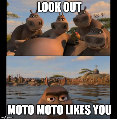Moto Moto | LOOK OUT MOTO MOTO LIKES YOU | image tagged in moto moto | made w/ Imgflip meme maker