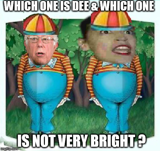 AOC  & First  MATE   Mr.  BS.  Himself! | WHICH ONE IS DEE & WHICH ONE; IS NOT VERY BRIGHT ? | image tagged in its bernie sanders,aoc stumped,tweedle dee  and tweedle dum,feelin the   bern,pair of  dumb | made w/ Imgflip meme maker