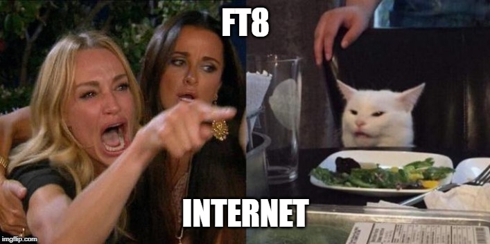 Woman Screaming at Cat | FT8; INTERNET | image tagged in woman screaming at cat | made w/ Imgflip meme maker