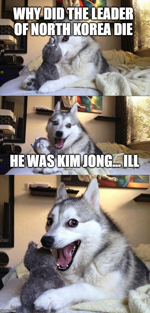 sorry i just had to | WHY DID THE LEADER OF NORTH KOREA DIE; HE WAS KIM JONG... ILL | image tagged in memes,bad pun dog,funny | made w/ Imgflip meme maker