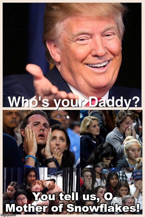 Who's your Daddy, snowflakes? | You tell us, O Mother of Snowflakes! | image tagged in who's your daddy snowflakes | made w/ Imgflip meme maker