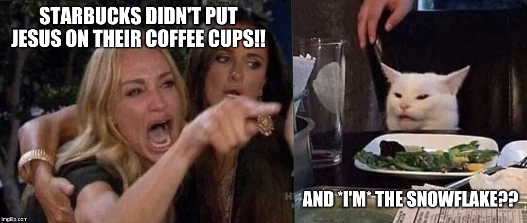 woman yelling at cat | STARBUCKS DIDN'T PUT JESUS ON THEIR COFFEE CUPS!! AND *I'M* THE SNOWFLAKE?? | image tagged in woman yelling at cat | made w/ Imgflip meme maker