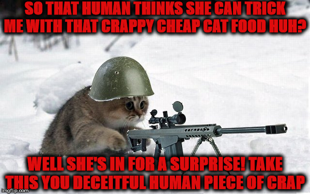 SNIPER CAT | SO THAT HUMAN THINKS SHE CAN TRICK ME WITH THAT CRAPPY CHEAP CAT FOOD HUH? WELL SHE'S IN FOR A SURPRISE! TAKE THIS YOU DECEITFUL HUMAN PIECE OF CRAP | image tagged in sniper cat | made w/ Imgflip meme maker