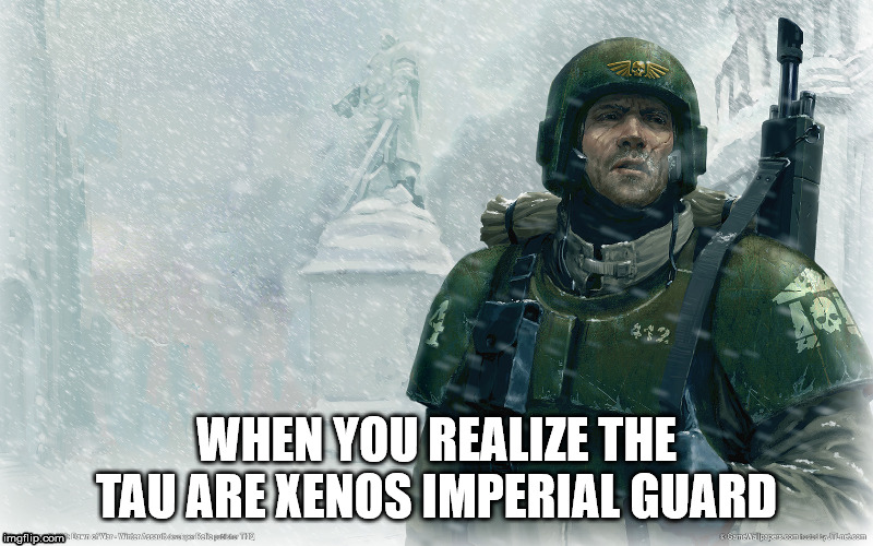 40k imperial guardsman snow | WHEN YOU REALIZE THE TAU ARE XENOS IMPERIAL GUARD | image tagged in 40k imperial guardsman snow | made w/ Imgflip meme maker