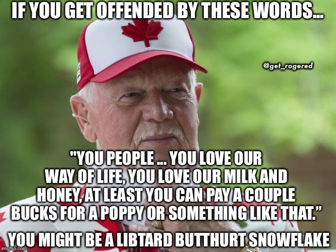 Don Cherry | IF YOU GET OFFENDED BY THESE WORDS... @get_rogered; "YOU PEOPLE ... YOU LOVE OUR WAY OF LIFE, YOU LOVE OUR MILK AND HONEY, AT LEAST YOU CAN PAY A COUPLE BUCKS FOR A POPPY OR SOMETHING LIKE THAT.”; YOU MIGHT BE A LIBTARD BUTTHURT SNOWFLAKE | image tagged in don cherry | made w/ Imgflip meme maker