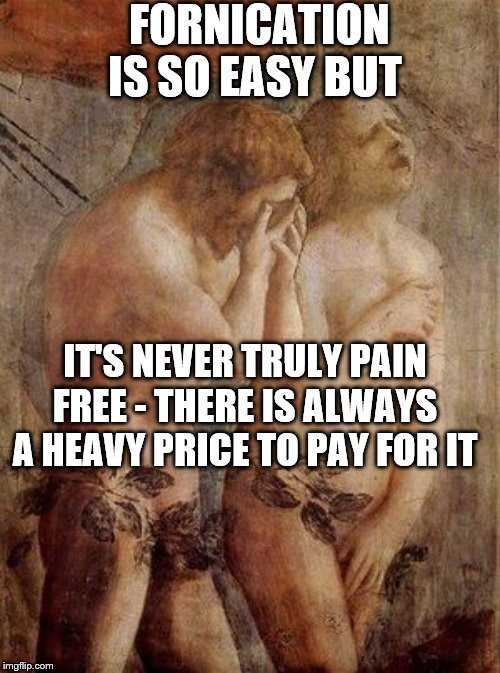 Adam and eve frustrated | FORNICATION IS SO EASY BUT; IT'S NEVER TRULY PAIN FREE - THERE IS ALWAYS A HEAVY PRICE TO PAY FOR IT | image tagged in adam and eve frustrated | made w/ Imgflip meme maker