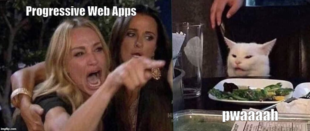 woman yelling at cat | Progressive Web Apps; pwaaaah | image tagged in woman yelling at cat | made w/ Imgflip meme maker