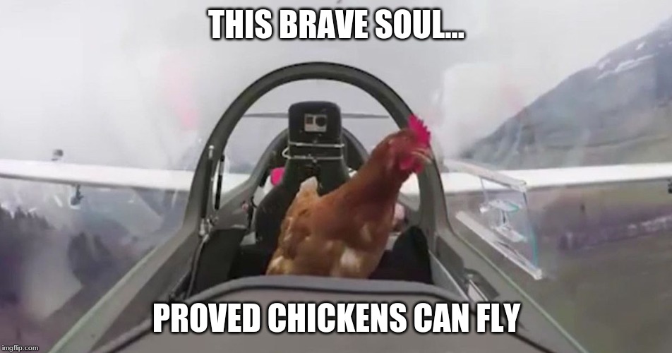  THIS BRAVE SOUL... PROVED CHICKENS CAN FLY | image tagged in chicken,flying,prove me wrong,hahaha,memes,plane | made w/ Imgflip meme maker