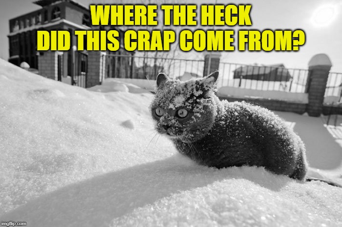 Cat Snow drug cocaine | WHERE THE HECK DID THIS CRAP COME FROM? | image tagged in cat snow drug cocaine | made w/ Imgflip meme maker
