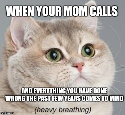 Heavy Breathing Cat Meme | WHEN YOUR MOM CALLS; AND EVERYTHING,YOU HAVE DONE WRONG THE PAST FEW YEARS COMES TO MIND | image tagged in memes,heavy breathing cat | made w/ Imgflip meme maker