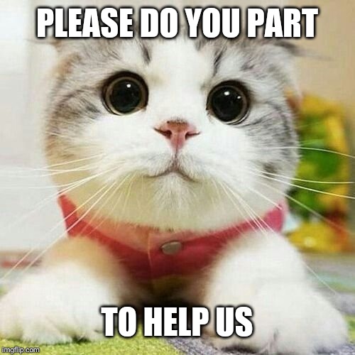 Kitty eyes | PLEASE DO YOU PART; TO HELP US | image tagged in kitty eyes | made w/ Imgflip meme maker