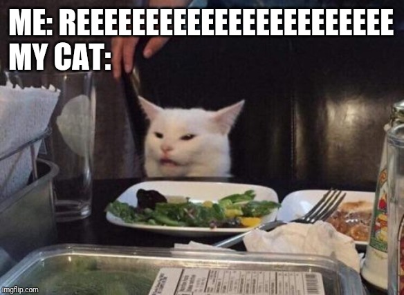 Salad cat | ME: REEEEEEEEEEEEEEEEEEEEEEE
MY CAT: | image tagged in salad cat | made w/ Imgflip meme maker