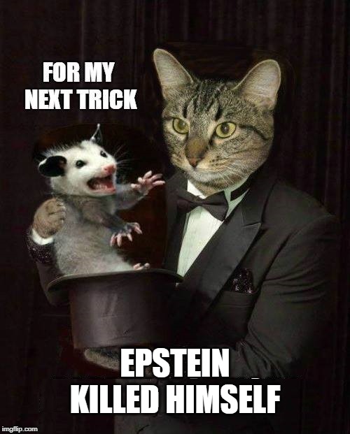 ABRA CA-NOT | EPSTEIN KILLED HIMSELF | image tagged in cat,possum,magician,cover up,jeffrey epstein | made w/ Imgflip meme maker