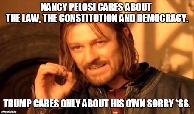 One Does Not Simply Meme | NANCY PELOSI CARES ABOUT 
THE LAW, THE CONSTITUTION AND DEMOCRACY. TRUMP CARES ONLY ABOUT HIS OWN SORRY *SS. | image tagged in memes,one does not simply | made w/ Imgflip meme maker