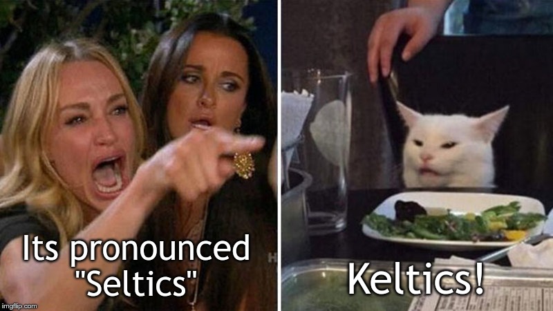 Housewife vs cat | Its pronounced "Seltics"; Keltics! | image tagged in housewife vs cat | made w/ Imgflip meme maker