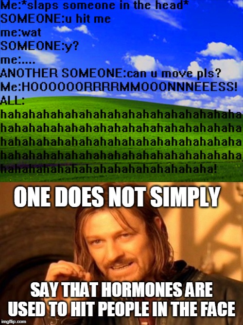 ONE DOES NOT SIMPLY; SAY THAT HORMONES ARE USED TO HIT PEOPLE IN THE FACE | image tagged in memes,one does not simply | made w/ Imgflip meme maker