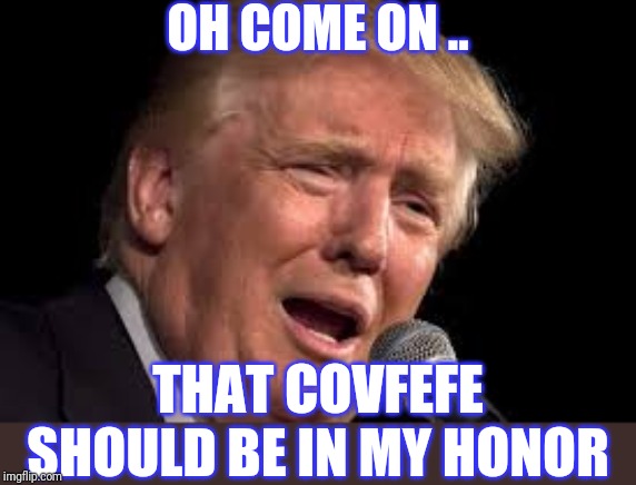 Donald Trump sad | OH COME ON .. THAT COVFEFE SHOULD BE IN MY HONOR | image tagged in donald trump sad | made w/ Imgflip meme maker