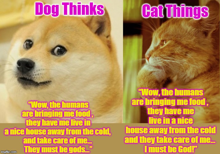 cat and dog thought | Cat Things; Dog Thinks; “Wow, the humans are bringing me food , 
they have me live in a nice house away from the cold, 
and take care of me… 
They must be gods…”; “Wow, the humans are bringing me food , 
they have me live in a nice house away from the cold and they take care of me… 
I must be God!” | image tagged in memes,doge | made w/ Imgflip meme maker