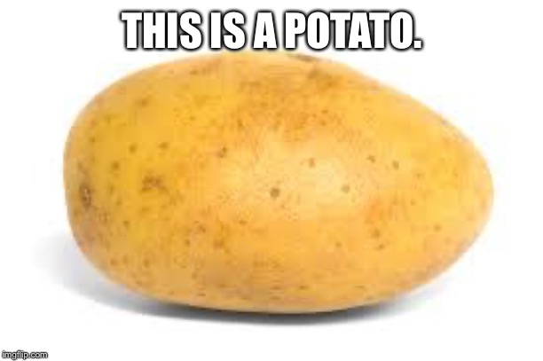 Potato | THIS IS A POTATO. | image tagged in potato | made w/ Imgflip meme maker
