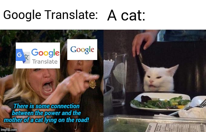Wait...what? | Google Translate:; A cat:; There is some connection between the power and the mother of a cat lying on the road! | image tagged in memes,woman yelling at cat,google translate,epic fail,what | made w/ Imgflip meme maker