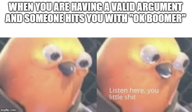 Listen here you little shit bird | WHEN YOU ARE HAVING A VALID ARGUMENT AND SOMEONE HITS YOU WITH "OK BOOMER" | image tagged in listen here you little shit bird | made w/ Imgflip meme maker