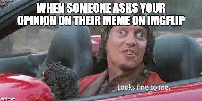When they want you opinion | WHEN SOMEONE ASKS YOUR OPINION ON THEIR MEME ON IMGFLIP | image tagged in steve buscemi,looks good to me,crosseyed | made w/ Imgflip meme maker