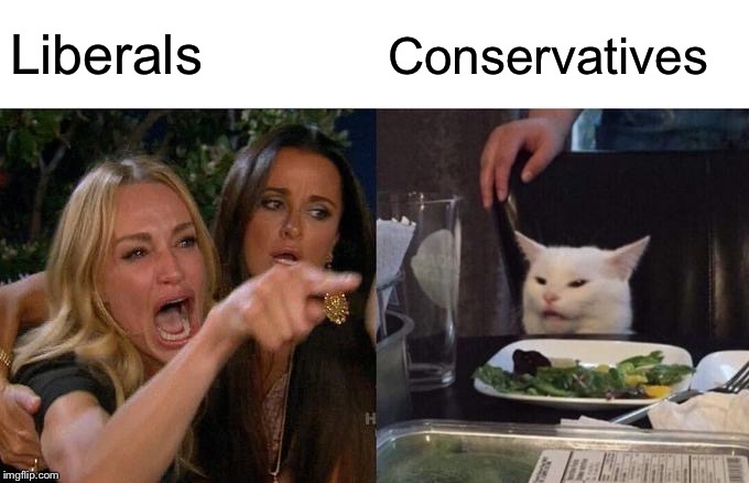 Woman Yelling At Cat Meme | Liberals; Conservatives | image tagged in memes,woman yelling at cat | made w/ Imgflip meme maker