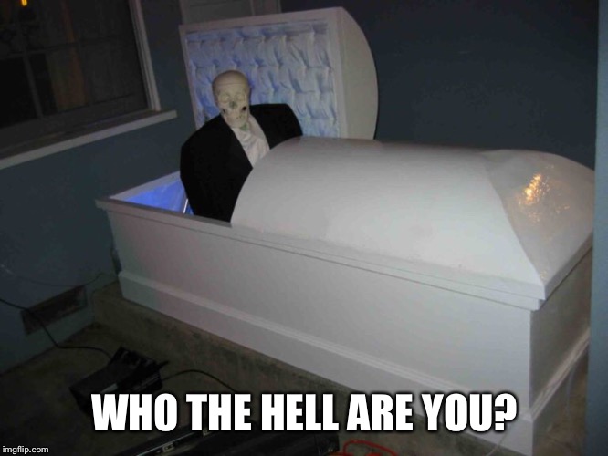 WHO THE HELL ARE YOU? | made w/ Imgflip meme maker