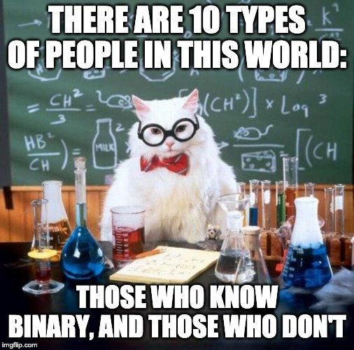 Chemistry Cat Meme | THERE ARE 10 TYPES OF PEOPLE IN THIS WORLD:; THOSE WHO KNOW BINARY, AND THOSE WHO DON'T | image tagged in memes,chemistry cat | made w/ Imgflip meme maker