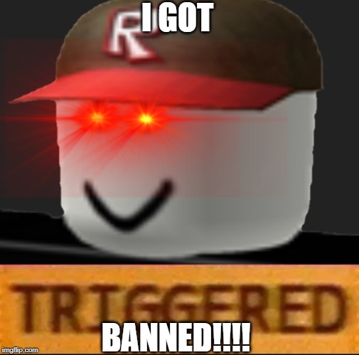 Roblox Triggered | I GOT; BANNED!!!! | image tagged in roblox triggered | made w/ Imgflip meme maker