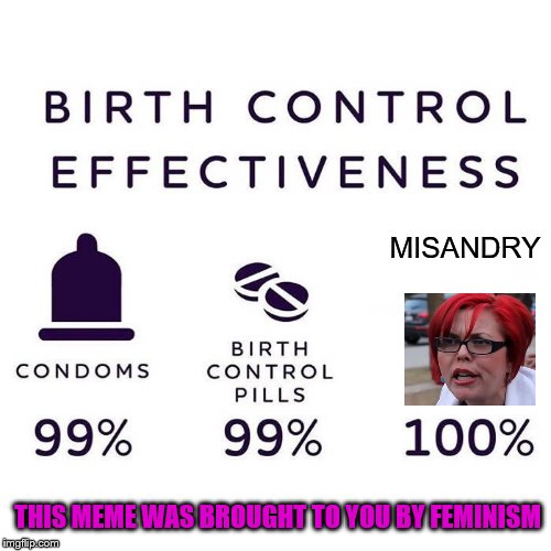 Birth Control Effectiveness | MISANDRY; THIS MEME WAS BROUGHT TO YOU BY FEMINISM | image tagged in birth control effectiveness | made w/ Imgflip meme maker