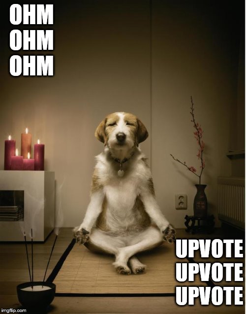 dog meditation funny | OHM
OHM
OHM; UPVOTE UPVOTE UPVOTE | image tagged in dog meditation funny,memes,funny memes | made w/ Imgflip meme maker
