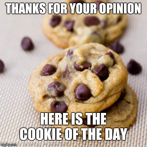Punny Cookies | THANKS FOR YOUR OPINION; HERE IS THE COOKIE OF THE DAY | image tagged in punny cookies | made w/ Imgflip meme maker