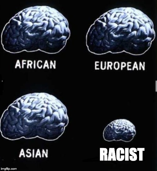 Brain Comparison | RACIST | image tagged in brain comparison | made w/ Imgflip meme maker