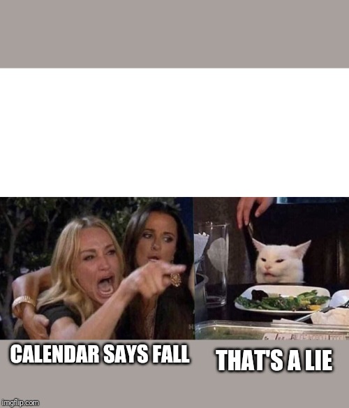 Women yelling at cat | CALENDAR SAYS FALL; THAT'S A LIE | image tagged in women yelling at cat | made w/ Imgflip meme maker
