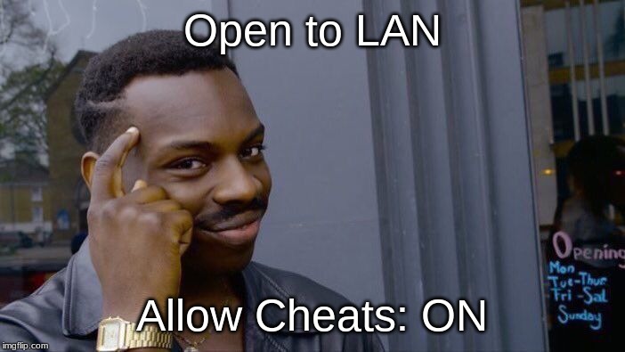 Roll Safe Think About It Meme | Open to LAN Allow Cheats: ON | image tagged in memes,roll safe think about it | made w/ Imgflip meme maker