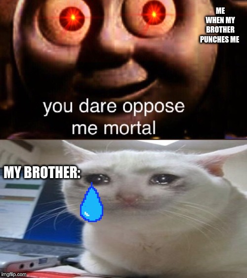 You dare oppose me mortal | ME WHEN MY BROTHER PUNCHES ME; MY BROTHER: | image tagged in you dare oppose me mortal,funny memes,sad cat | made w/ Imgflip meme maker