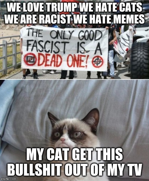 Grumpy cat vs antifa  | WE LOVE TRUMP WE HATE CATS WE ARE RACIST WE HATE MEMES; MY CAT GET THIS BULLSHIT OUT OF MY TV | image tagged in grumpy cat vs antifa,craziness_all_the_way,that's racist,cats | made w/ Imgflip meme maker