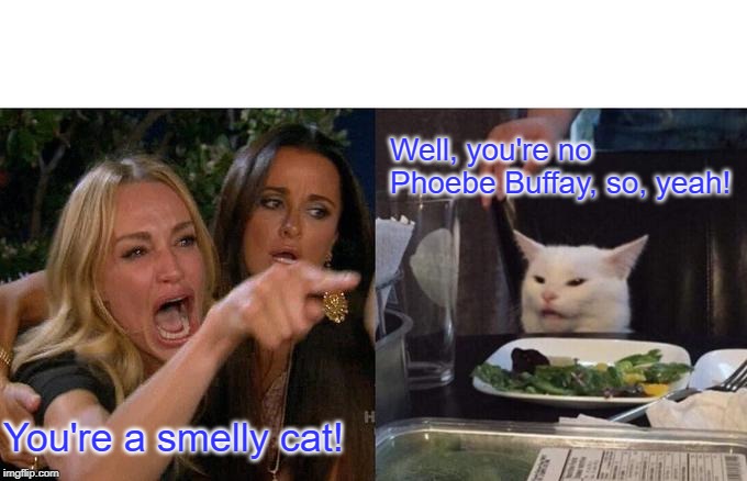 Woman Yelling At Cat | Well, you're no Phoebe Buffay, so, yeah! You're a smelly cat! | image tagged in memes,woman yelling at cat | made w/ Imgflip meme maker